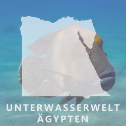 EG, Unterwasserwelt