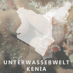 UNTERWASSER-KENIA